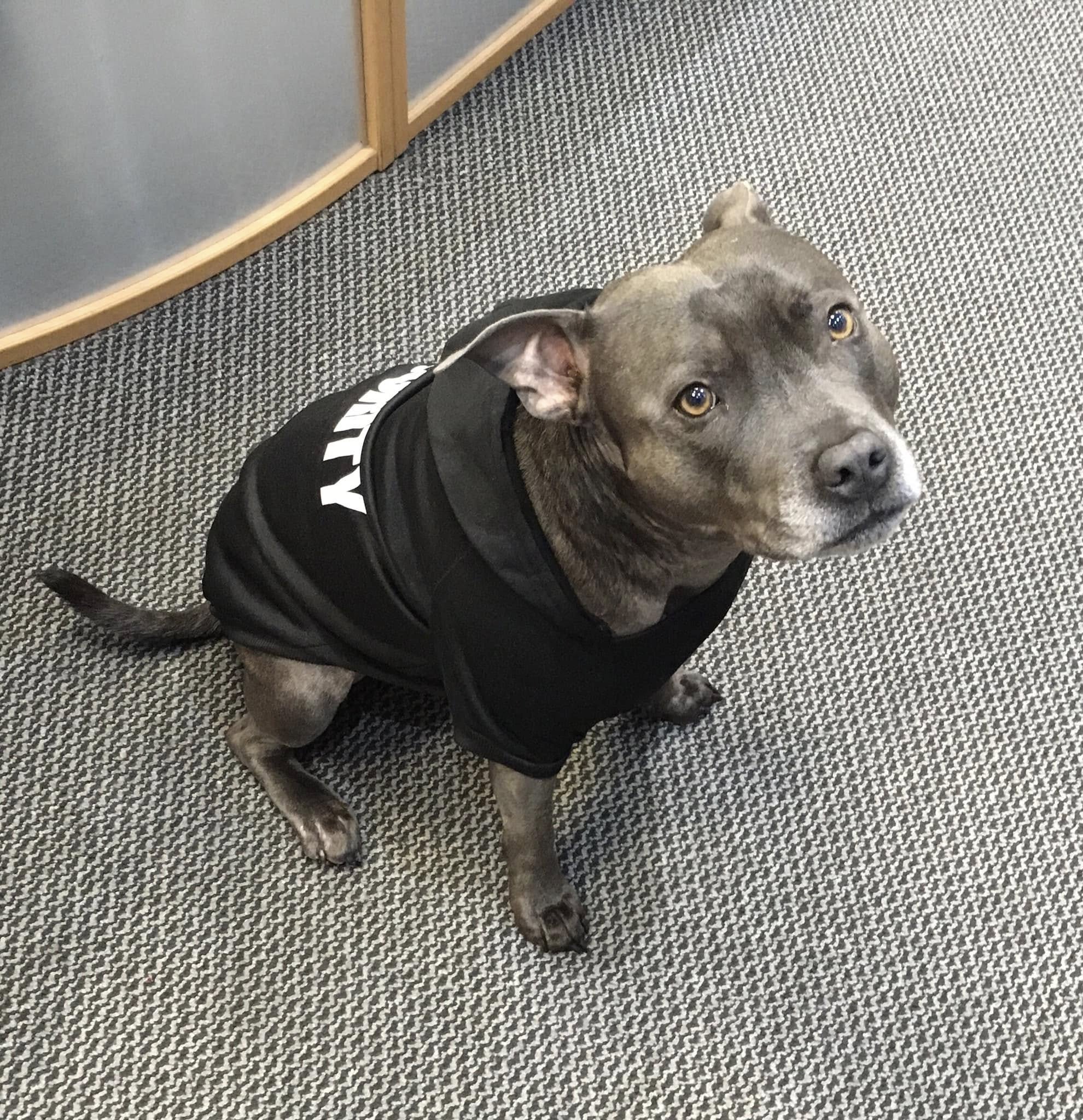 Alan Security